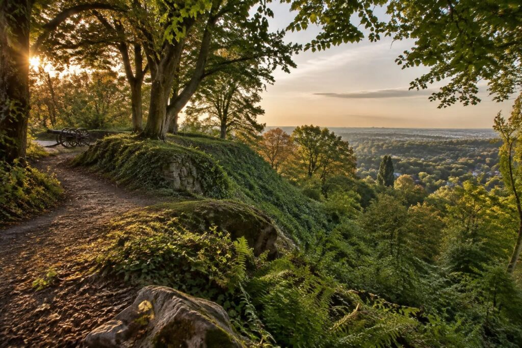 découvrez l’histoire et les curiosités du plateau d’avron, un site remarquable au patrimoine naturel et historique singulier.